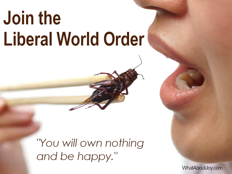 liberal world order